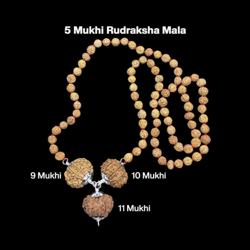 Rudraksha Combination for Total Protection 9,10,11 Mukhi Nepal In Rudraksha Mala