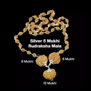 Rudraksha Combination for Business 6,8,12 Mukhi Nepal In Silver Mala