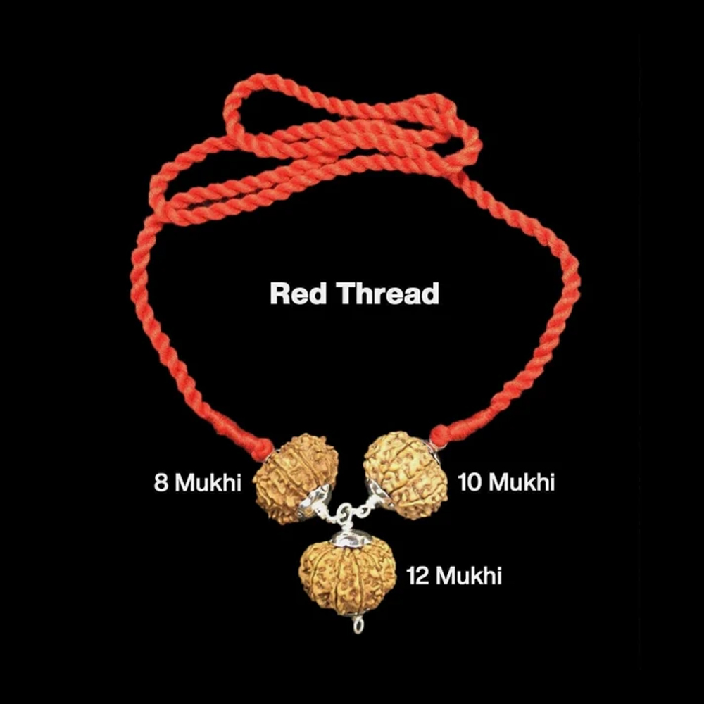 Rudraksha Combination for Protection 8,10,12 Mukhi Nepal In Thread