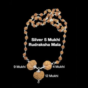 Rudraksha Combination for Doctors 4,9,12 Mukhi Nepal In Silver Mala
