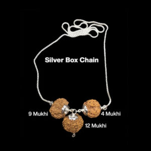 Rudraksha Combination for Doctors 4,9,12 Mukhi Nepal In Silver Chain