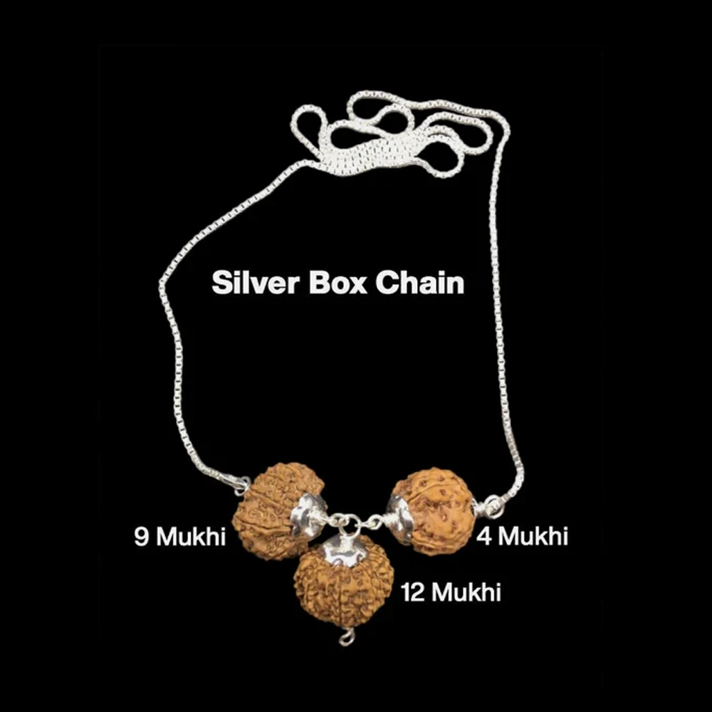Rudraksha Combination for Doctors 4,9,12 Mukhi Nepal In Silver Chain