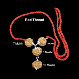 Rudraksha Combination For Business Power (Marketing & Trading) 7,7,8,13 Mukhi In Thread