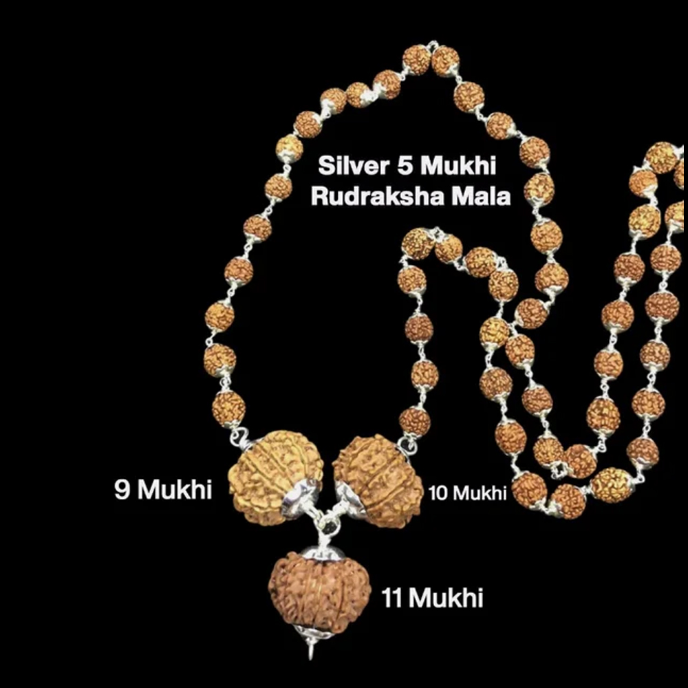Rudraksha Combination for Total Protection 9,10,11 Mukhi Nepal In Silver Rudraksha Mala
