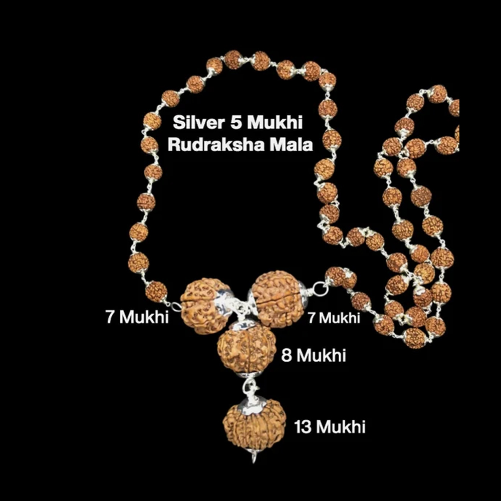Rudraksha Combination For Business Power Marketing & Trading 7,7,8,13 Mukhi