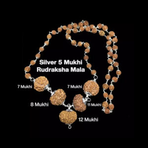 Rudraksha Combination Business Power (Executives & Businessmen) 7,7,8,11,12 Mukhi Nepal In Silver Mala