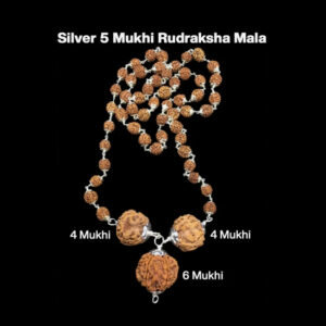 Rudraksha Combination for Students 4,4,6 Mukhi Nepal In Silver Mala