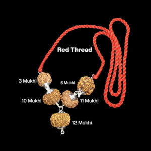 Rudraksha Combination for Navagraha Shanti 3,5,10,11,12 Mukhi Nepal In Thread