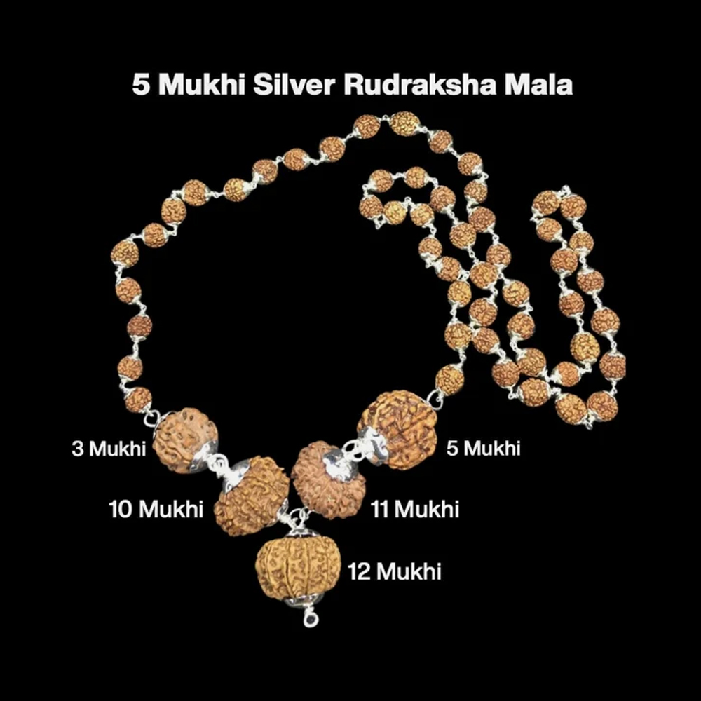 Rudraksha Combination for Navagraha Shanti 3,5,10,11,12 Mukhi Nepal In Silver Mala