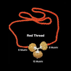 Rudraksha Combination for Business 6,8,15 Mukhi Nepal In Thread
