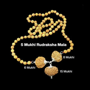 Rudraksha Combination for Business 6,8,15 Mukhi Nepal Rudraksha Mala