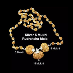 Rudraksha Combination for Business 6,8,15 Mukhi Nepal In Silver Mala