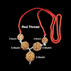 Rudraksha Combination for Health Power 3,3,5,5,5 Mukhi Nepal In Thread