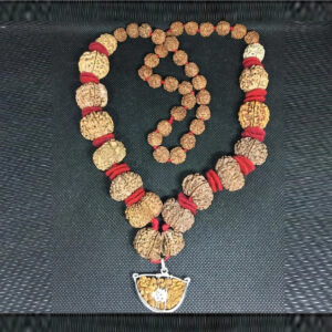 Nepal Siddha Mala (1-14 Mukhi,Ganesh,Gaurishankar) Medium Size