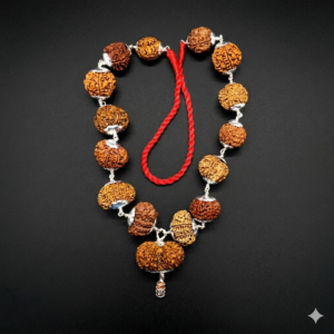 Nepal Siddha Mala (1-14 Mukhi,Ganesh,Gaurishankar) Collector Size