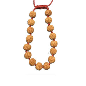 6 Mukhi Indonesian Rudraksha Bracelet In Adjustable Thread