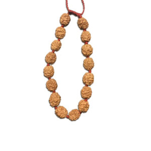 4 Mukhi Indonesian Rudraksha Bracelet In Adjustable Thread
