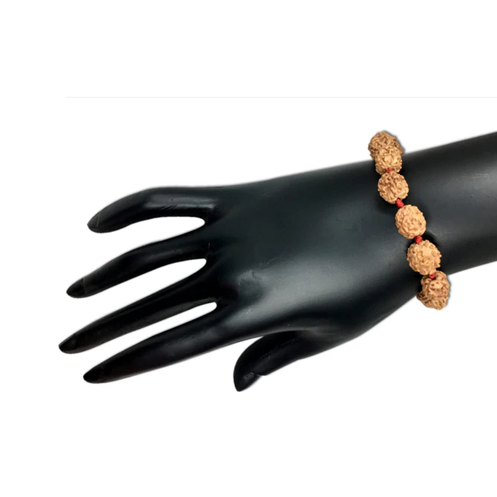 4 Mukhi Indonesian Rudraksha Bracelet In Adjustable Thread - Image 2