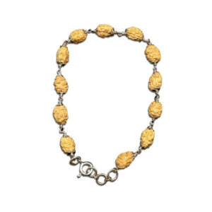2 Mukhi Indonesian Rudraksha Bracelet In Silver