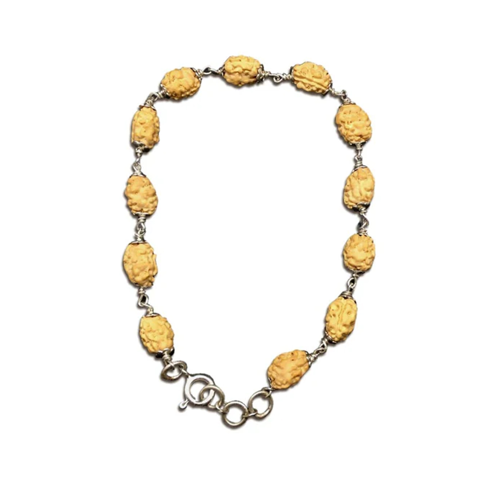2 Mukhi Indonesian Rudraksha Bracelet In Silver