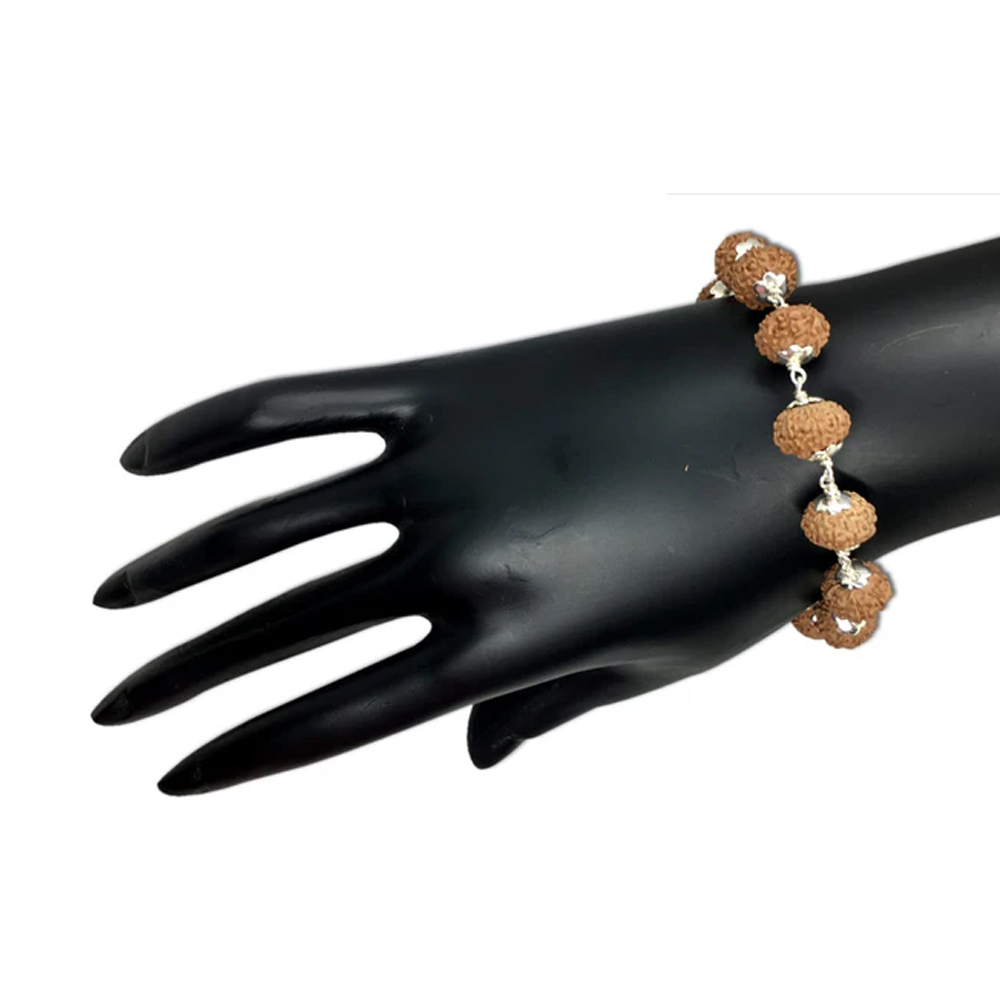 10 Mukhi Indonesian Rudraksha Bracelet In Silver - Image 2