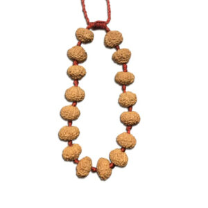10 Mukhi Indonesian Rudraksha Bracelet In Adjustable Thread