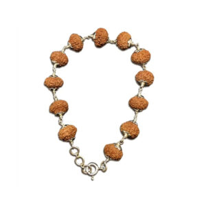 9 Mukhi Indonesian Rudraksha Bracelet In Silver