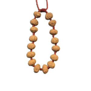 9 Mukhi Indonesian Rudraksha Bracelet In Adjustable Thread