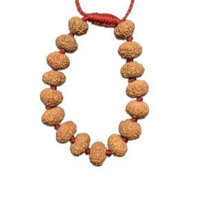 8 Mukhi Indonesian Rudraksha Bracelet In Adjustable Thread