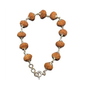 7 Mukhi Indonesian Rudraksha Bracelet In Silver