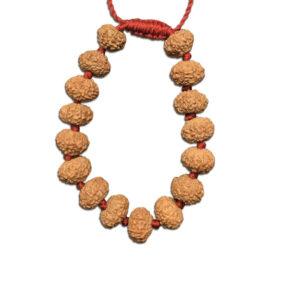 7 Mukhi Indonesian Rudraksha Bracelet In Adjustable Thread