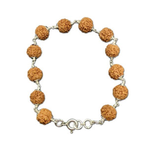 6 Mukhi Indonesian Rudraksha Bracelet In Silver