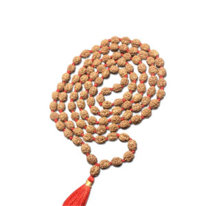 4 Mukhi Indonesian Rudraksha Mala 108 Beads (7mm-9mm)