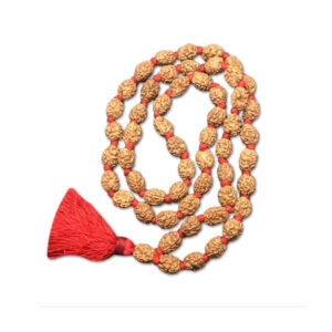 3 Mukhi Indonesian Rudraksha Mala 54 Beads (12mm-14mm)