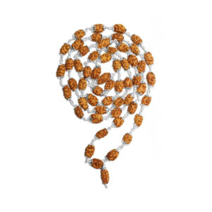 2 Mukhi Indonesian Rudraksha Mala 54 Beads In Silver
